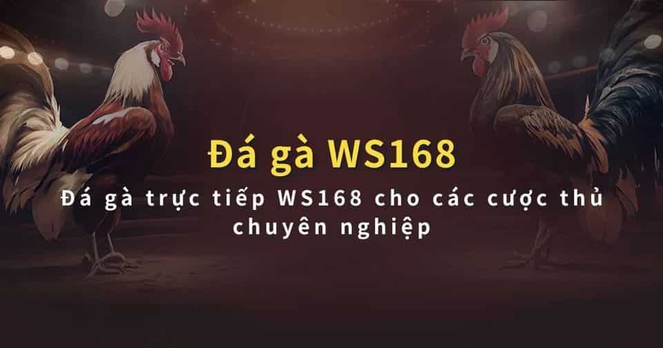 Sảnh cược với rất nhiều điểm thú vị và hấp dẫn