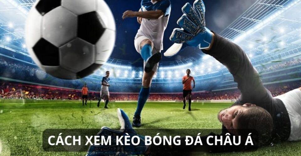 Đọc kèo châu Á cần dựa vào tỷ lệ cược cụ thể được đưa ra