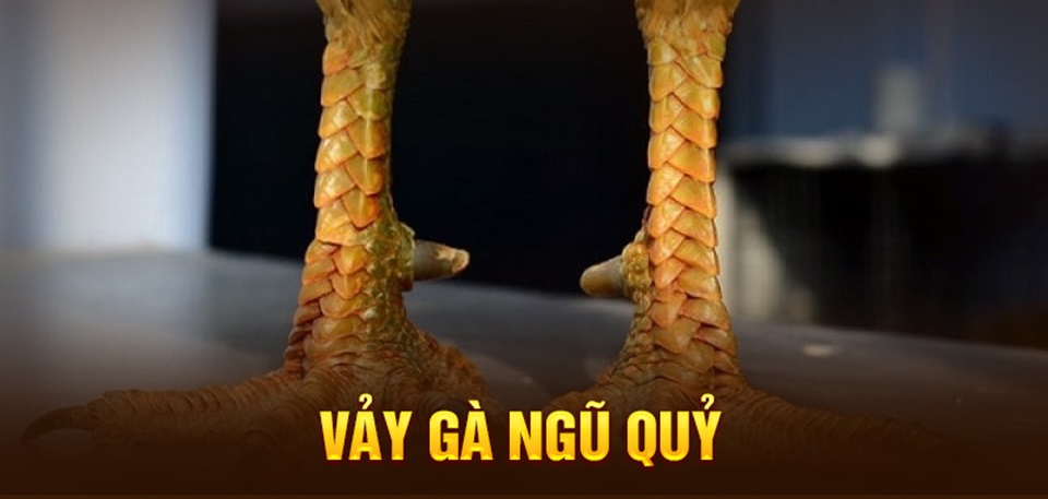 Giới thiệu vảy ngũ quỷ là gì?